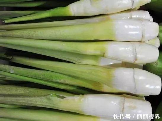 农村河边的野菜，最高能到2米，如今15元一斤，农民靠它致富