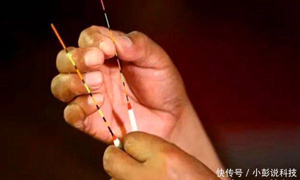 「黑坑」黑坑“偷驴”滑口鱼,试着这样来应对,效率超高,中鱼率有保证