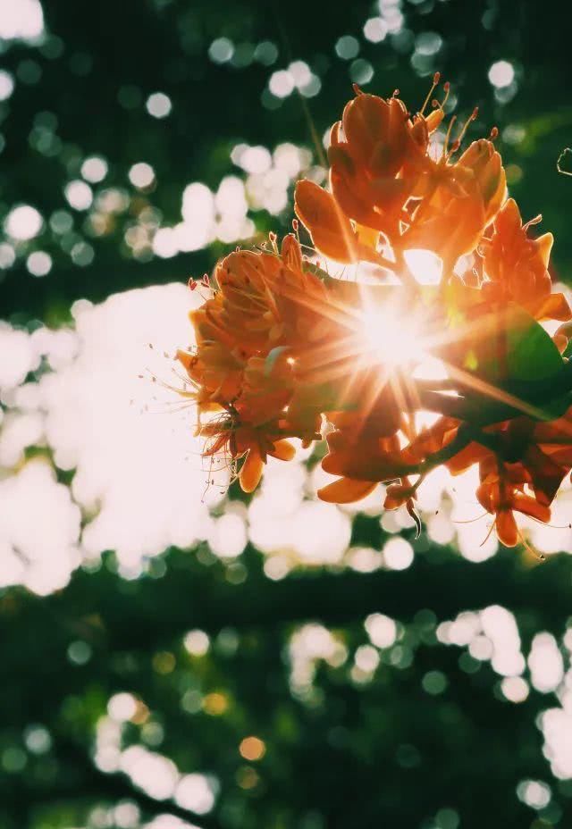 广东降温了！别人的冬天，广东人的秋天！快来看看广东的秋