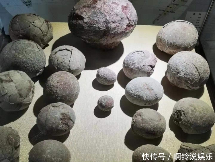 超震撼17000多枚恐龙蛋化石创下世界之最