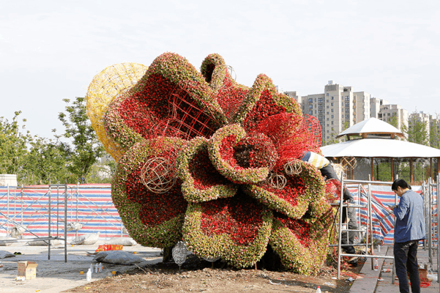  会场■2020上海（国际）花展奉贤上海之鱼会场倒计时~Bulu邀您来赏花