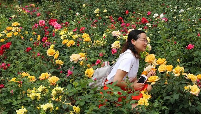  『喜欢的花卉』门口光秃秃的？栽种上这4种花卉，花期长好养护