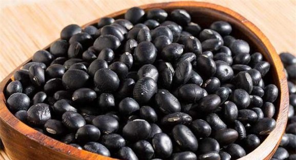  【隔壁奶奶】黑豆吃一个月可以治好白发吗