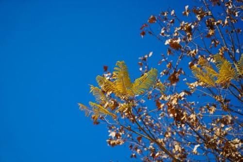  「吉安」江西这座城是希望之星，不是吉安也不是宜春，而是默默