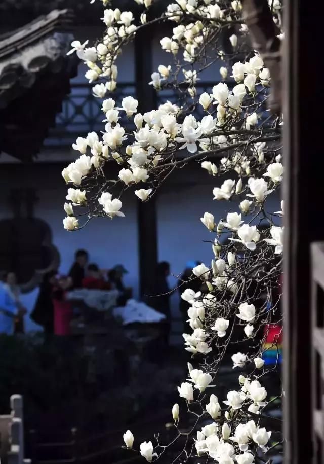 春天怎么拍才有意境？十招让您立刻开窍！