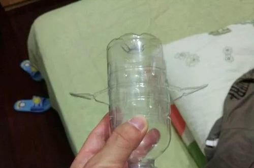  [下次]不起眼的塑料瓶，养花的神器，什么都能干，下次可不要丢了