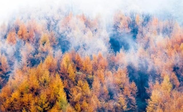 金秋十月遇见最美的风景，中国最美的8处秋季旅行目的地值得一去