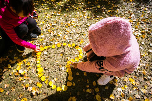西藏小众旅行地,秋天美到翻