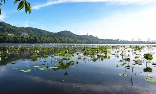 今天要介绍的就是我国这样一个糊涂的景区【2020热门旅游景点】