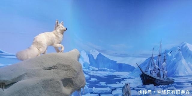 国家海洋博物馆值不值得去?来看看游客怎么说