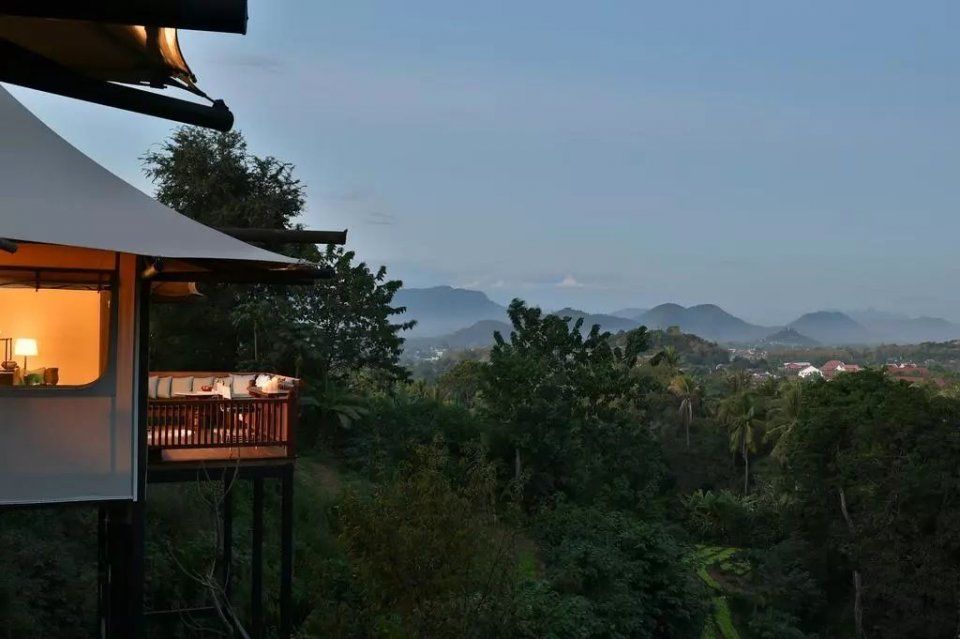 见多了平民王后，低调的比利时王后才是天生贵族!