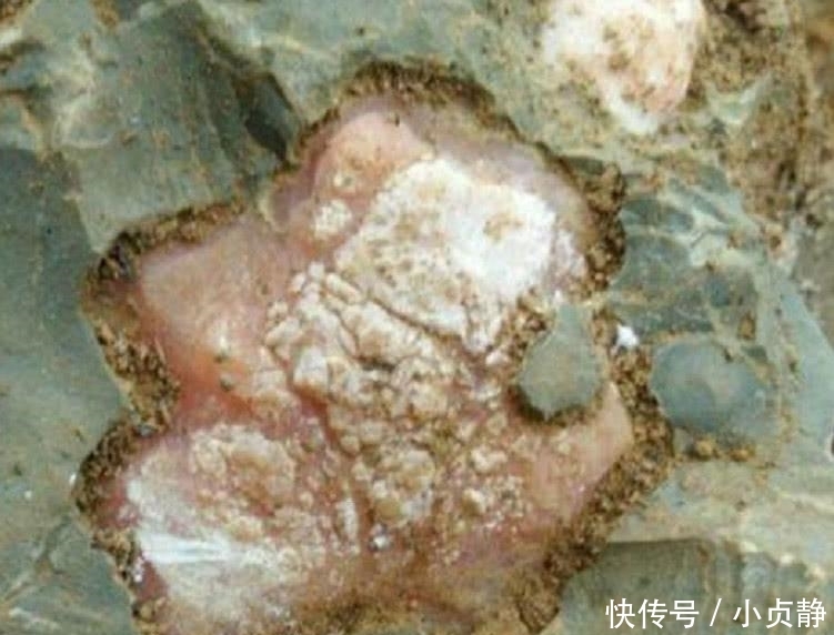 农民在山上摘草药时看见一块“石头”凑近一看, 赶紧请来专家