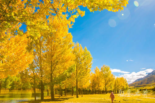 西藏小众旅行地,秋天美到翻