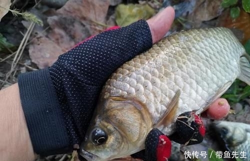  [小编]扎堆钓鱼也叫安全？请管好你的家人，别再出门钓鱼了，外面很危险