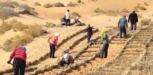  「发生」我国第七大沙漠，把黄河水引过去后，发生翻天覆地的变