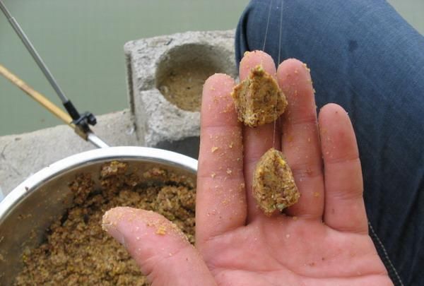  「荒期」掌握这14个钓鱼技巧，鱼荒期都能钓到手软！新手每天都要读一遍