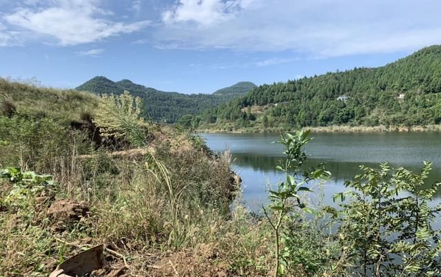 再钓云顶山，八尔滩板鲫 往哪里跑