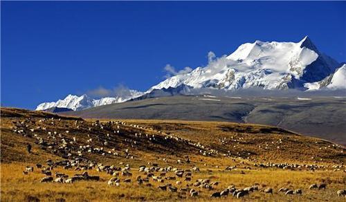 西藏的雪山,每一座都有不一样的风景