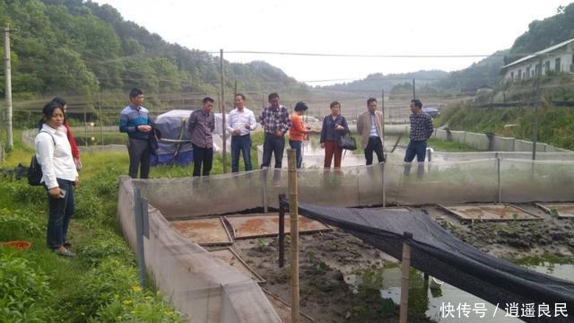  严惩|农村4大“禁养区”或将来临！没补贴还会严惩，农民朋友早