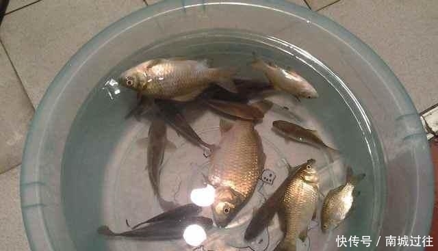 『鱼儿吃口』都说野钓很难,但是为什么还有那么多人喜欢野钓呢?