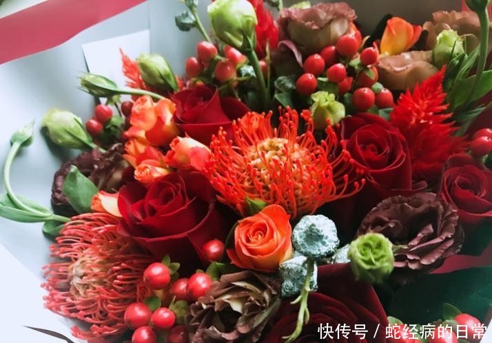  「风轮」针垫花共同繁荣，风轮花无限祝福