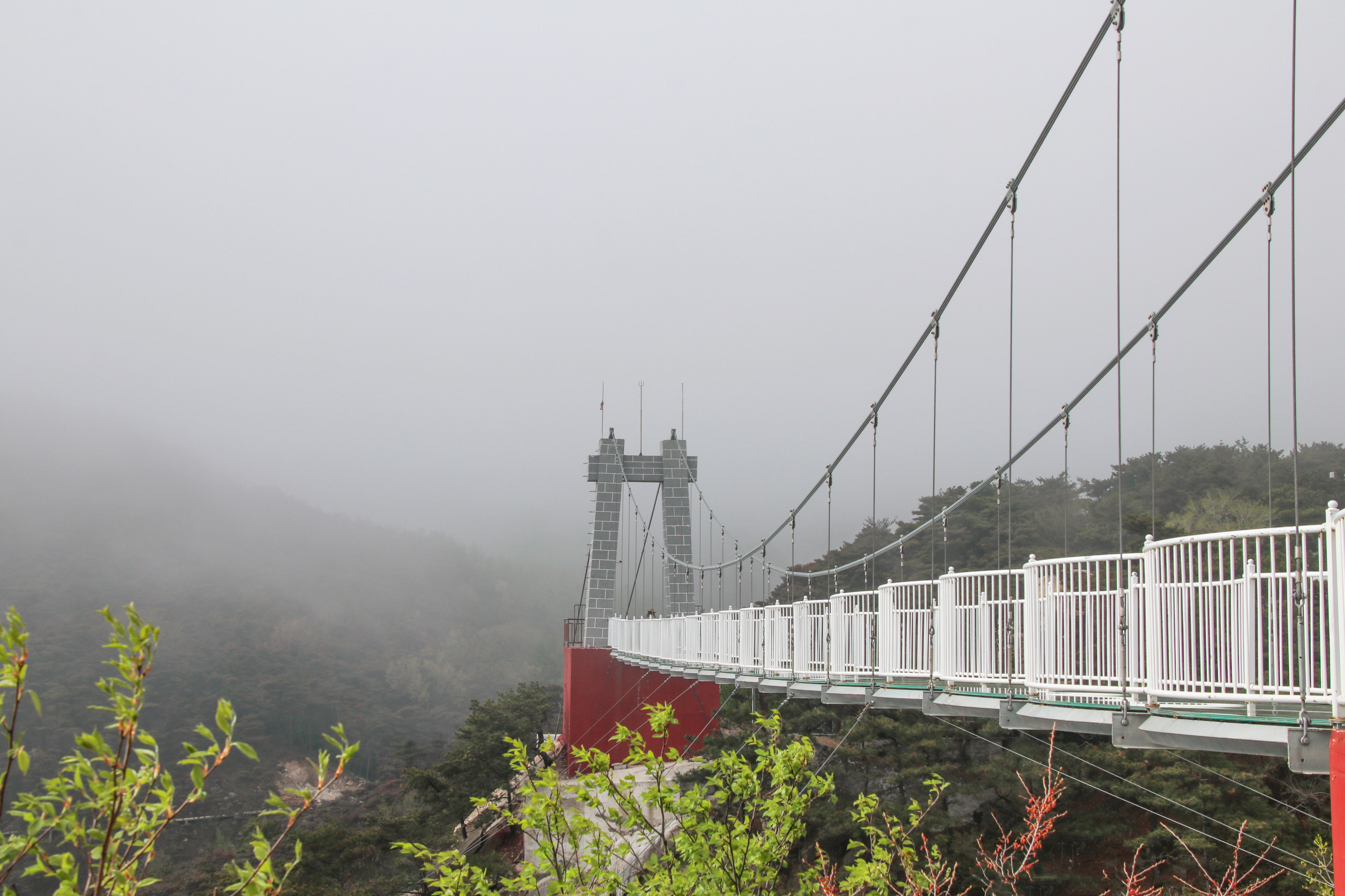 来沂蒙山，我“养”你啊