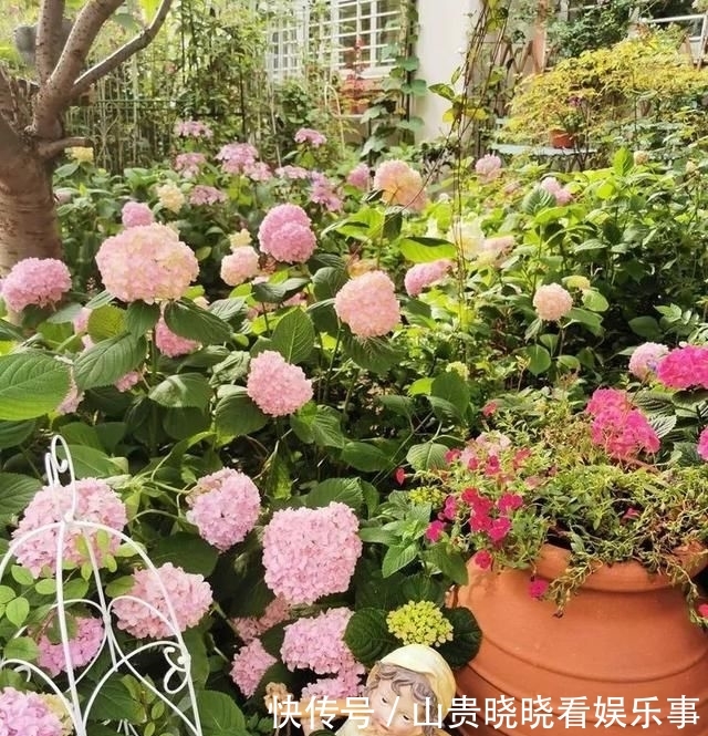 「平方」有了30平方的小院,能将日子过成了诗?简单而精致,优雅而从容!