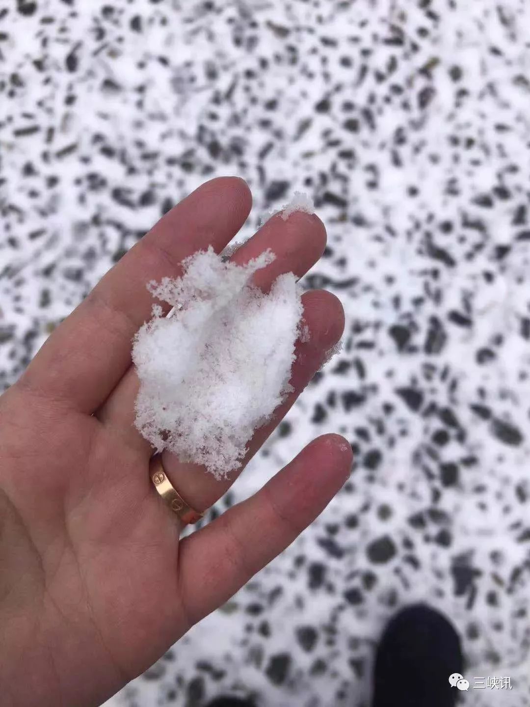 很冷，但也很美！今天重庆多地迎来降雪，你那里下雪了么