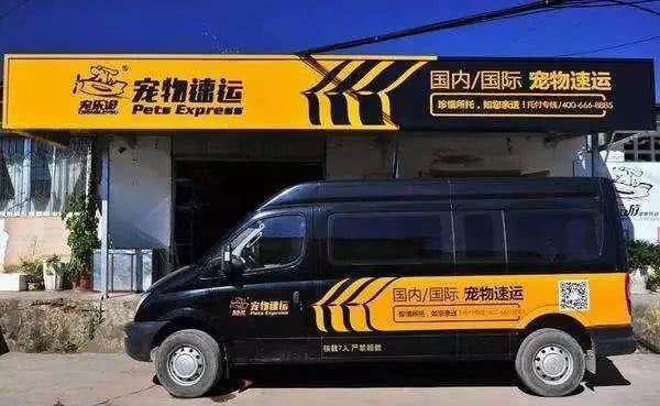 有没有宠物托运