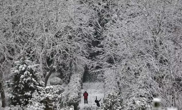 初雪后的北京美翻了! 故宫8万门票售罄, 游客景山“扎堆”赏雪