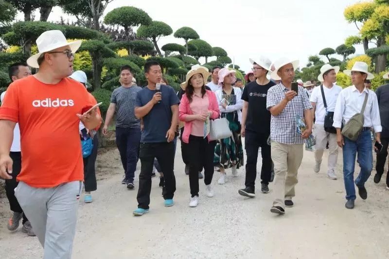 庭院深深，中式庭院 · 怡然自得