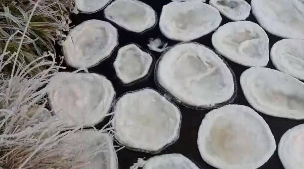 奇特天气现象：芬兰海滩被成千上万冰蛋覆盖，英国曾出现过冰煎饼