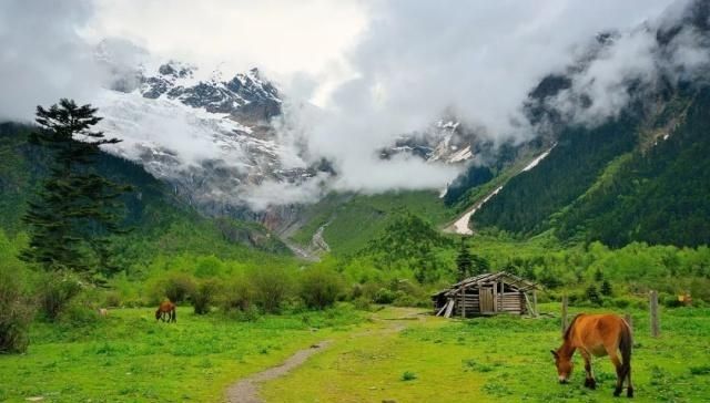 天堂向左，雨崩向右。不去天堂，就去雨崩