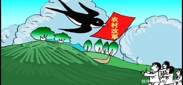 未来两年又要有一批农民富起来了！这三个项目即将在农村开始实行