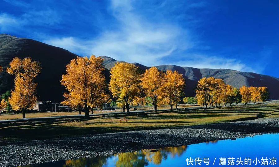 川藏线的秋天,让人流连忘返