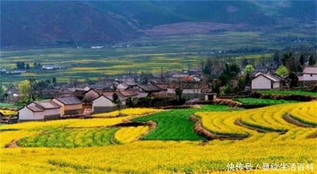  [农民朋友]农村承包地将全面“合并”，实行“一户一田”，真的