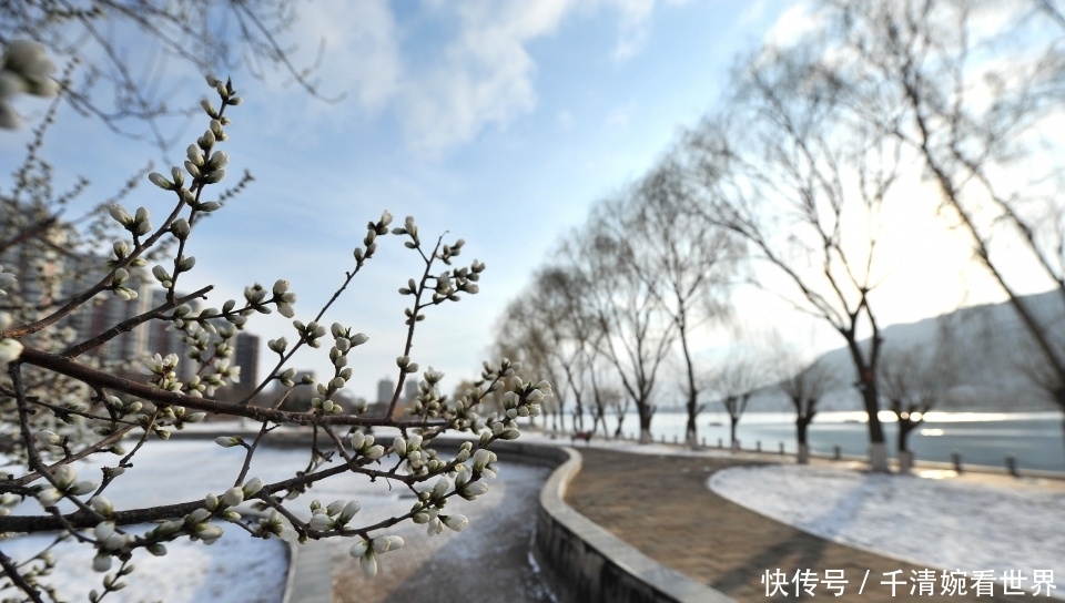 气温大跳水三天换“四季”：东北26℃高温过后连降雪