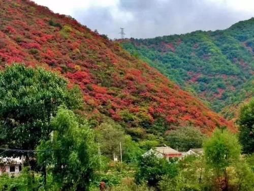 秦岭私藏2条自驾公路，秋季美成天堂，霸占北方最绚烂秋景