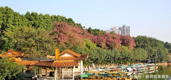  逆袭@中国面积最小、逆袭最成功的新一线城市，30年前只是一个小