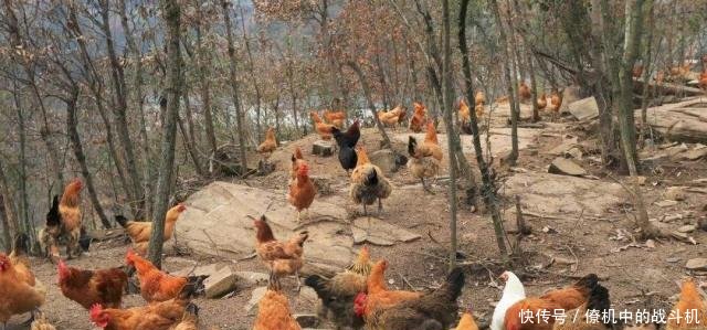 这三个行业前景很好，已经有人赚到钱了，你觉得怎么样