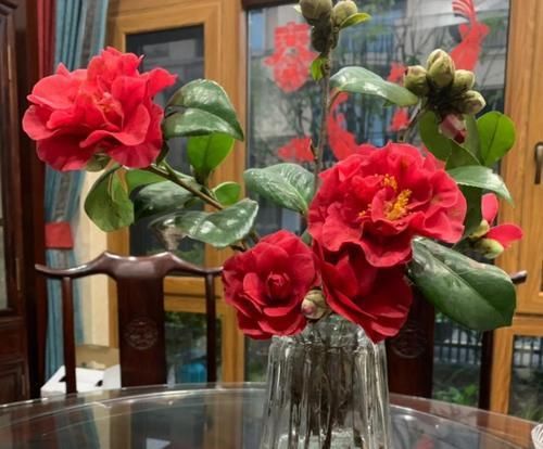  「切花」这花原来还能这么玩，经典的切花，自己养一盆也很好看！