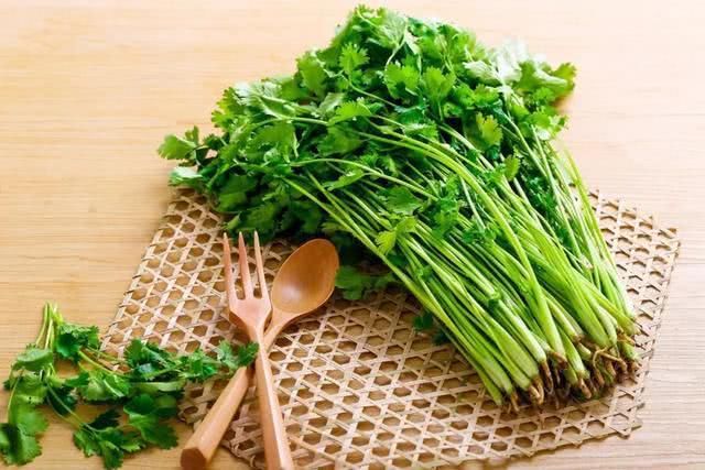  「植物」4种香香菜养在厨房，吸收油烟净化空气，随手摘一片还能调味