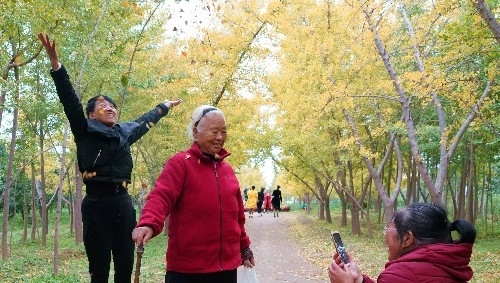  [银杏]山西农民8亩银杏林扔掉20年，现今坐在地头收门票，月赚10