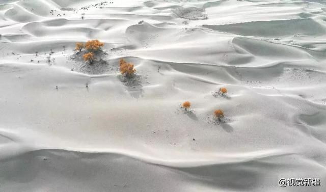 大山 沙漠 湖泊 金胡杨是大自然最完美的构图