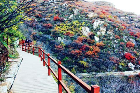 又一波冷空气！今日降温，下周更猛！最低5℃！接下来北京天气是.