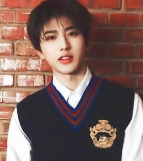 「国民」蔡徐坤穿校服,王一博穿校服,肖战穿校服,看到宋威龙:国民校草