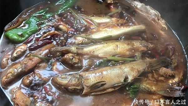 选择|夏天水库手竿钓翘嘴,注意这些要点,翘嘴连竿上,狂拉到手酸!