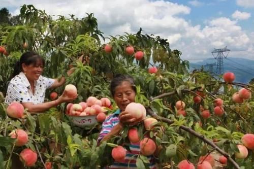 重庆火炉镇镇,听起来令人感到汗流浃背,为啥游客反而去避暑?
