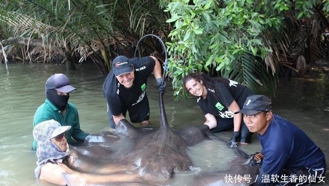 强烈要求李大毛老师停止游钓中国, 远征湄公河降服真正的巨物