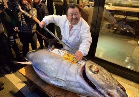日本金枪鱼王拍卖价格近两亿日元,中标者